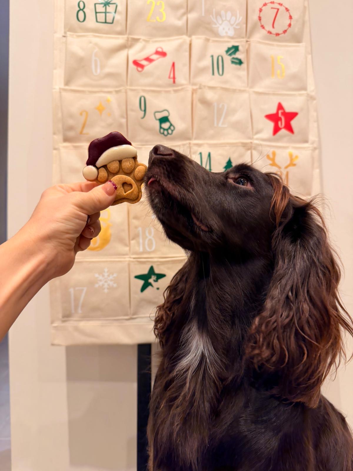 Fabric Reusable Christmas Advent Calendar | 24 Pocket Hanging Countdown | Santa Paws Dog Calendar