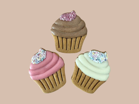 Iced Cupcakes